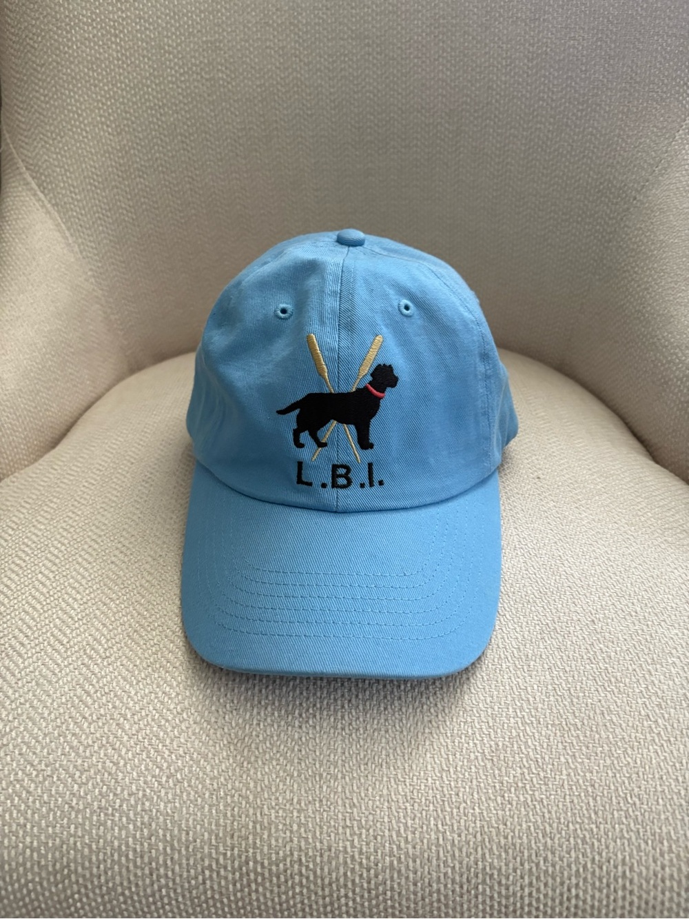 Light Blue Dog Logo Baseball Cap